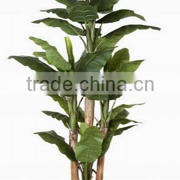 SJ0301115 Ornamental Landscaping Aquarium Plants Garden Decorative Green Plants photo-5