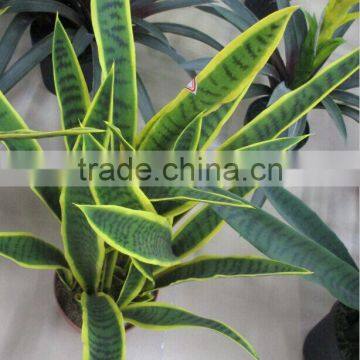 SJ GN 56 Artificial Sansevieria Plants photo-4