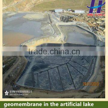 HDPE Geomembrane of Cheap Price for Pond Lake Dam Vertical Farming Waterproof Liner photo-4