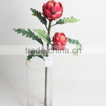 Natural Plastic Dragon Fruit Plant Decorative Fruit Plant for Decoration