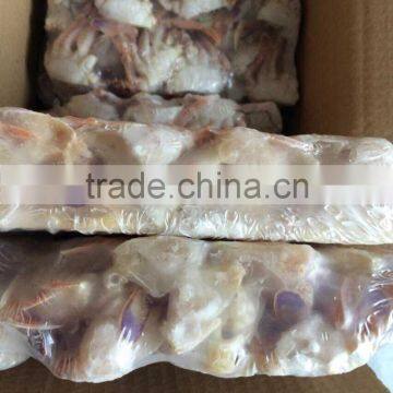 IQF Blue Swimming Crab Half Cut photo-3