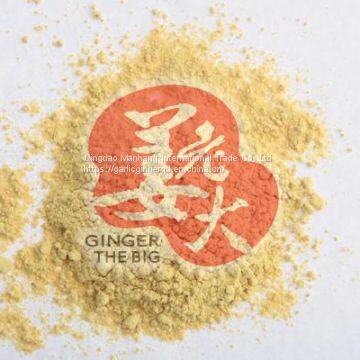 ginger powder