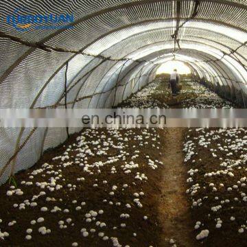 mushroom planting greenhouse film, white black film for agaricus,Oyster Mushroom