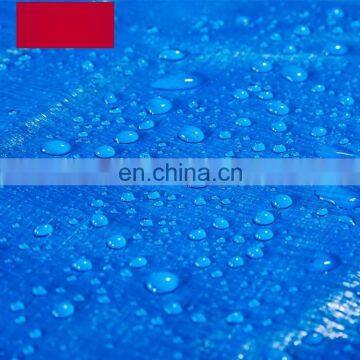 LDPE Lamination Waterproof Plastic Tarpaulin