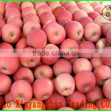 (HOT)Fresh Apples/price for fresh apple/ Fuji apple