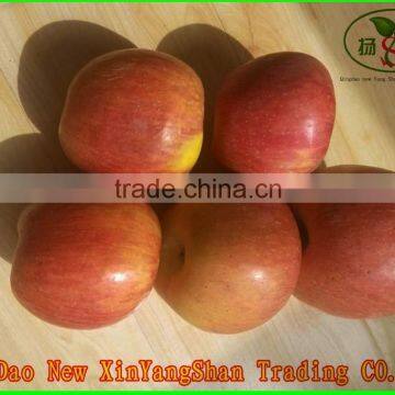 (HOT)Fresh Apples/China Fuji Apple