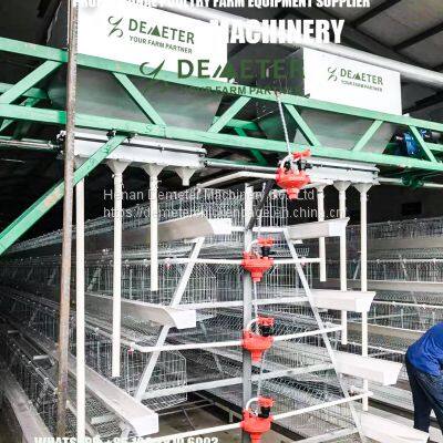 Battery type cage