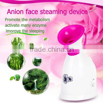 mini facial steamer vaporizer