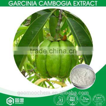 ISO,Kosher,Halal certificate factory supply garcinia cambogia extract