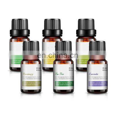 Wholesale uk Ginger  Rosemary Peppermint Lemon Tea Tree Essential Oil