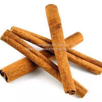 Cinnamon Bark Extract, Cinnamon Polyphenol Powder, Cinnamomum bark Extract, Cinnamomum zeylanicum bark Extract, Yongyuan Bio