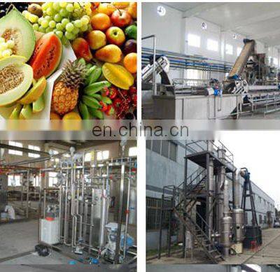 Industrial Cashew Apple Juicing Plant / Cashew Apple Juice Production Line photo-5