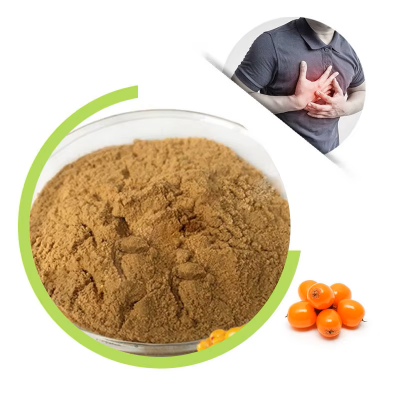 100% Seabuckthorn Extract Powder Food Grade Polysaccharides Nutrition Enhancer with Flavor Packaged in Bag