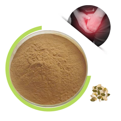 Food Grade Pure Natural Pumpkin Seed Extract Powder 40% Fatty Acid Solvent Extraction for Health Food Packaged in Drum