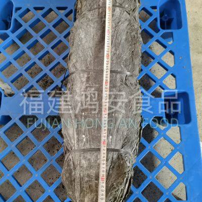 Dried Kelp Laminaria Japonica photo-2