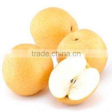 Chinese New Crop Fresh Best Asian Pears