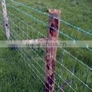 YUANXI COW WIRE MESH(FACTORY)