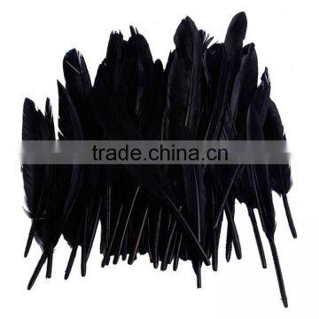 Touch of Nature goose feather, rooster feather, dyed colourful feather wholesale