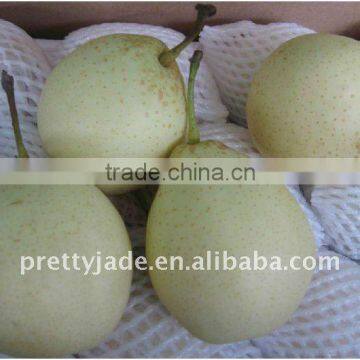 Chinese sweet Ya pear