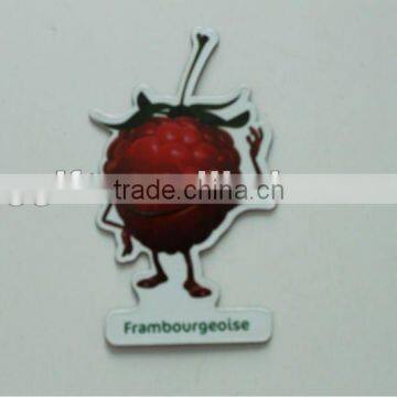 2012 Fruit fridge magnet