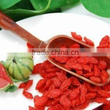 China Ningxia Wolf Berry photo-2