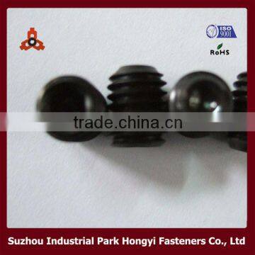 stainless steel hexagon head socket plastic set screw