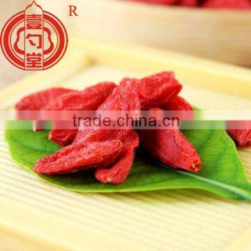 Dried fruit ningxia goji berries bulk goji berries wholesale goji berry