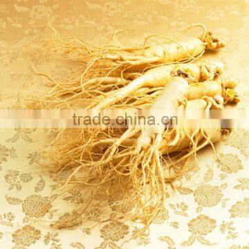 Chinese well-know herb Pure Natural RADIX GINSENG Oil, Ginseng essential oil