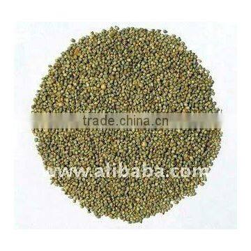 white millet seeds