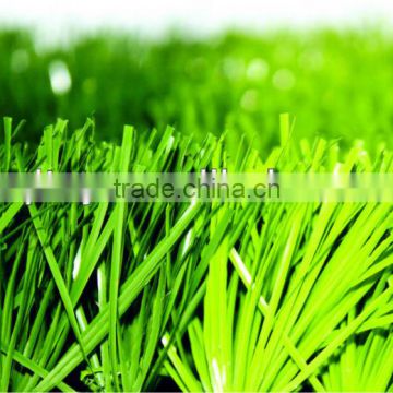 Football Field Sport Artificial Grass