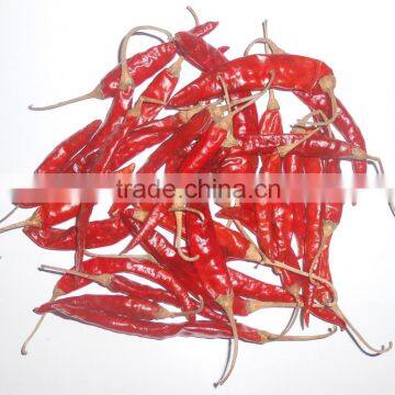 Dry Red Chili