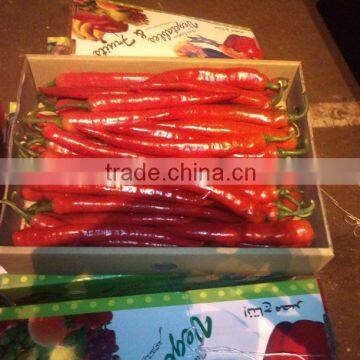 Fresh Hot Chilli