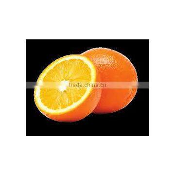 delicious taste Fresh Egyptian Orange...high quality navel orange