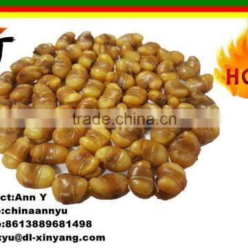 Fried And Salted Broad Beans For Sale, Fave Beans/broad Beans/Horse Beans Snacks photo-2