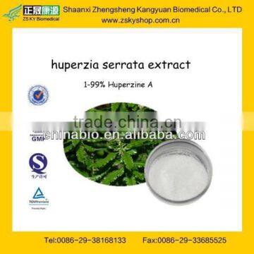 GMP Manufactuer Supply 100% Natural Huperzine