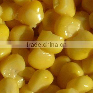 canned sweet corn in tin 11