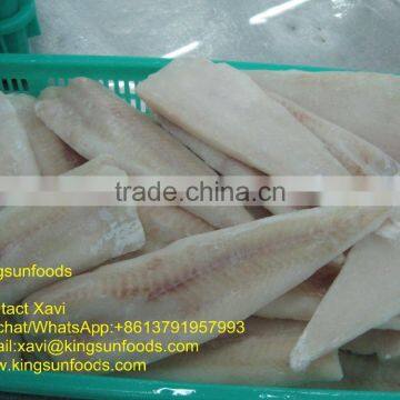 Wholesale New Frozen IQF Alaska Pollock Fillet With Good Price