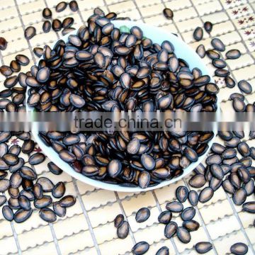 Black Watermelon Seed