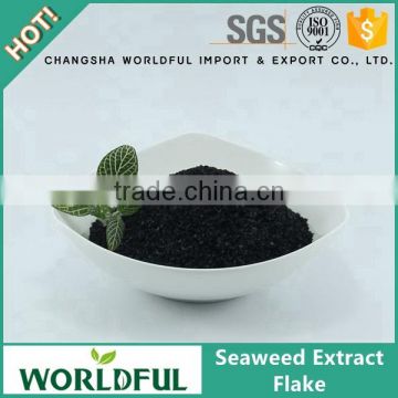 Black organic seaweed extract fertilizer, seaweed extract flake for foliar spray