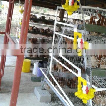 Wholesale Small Animal Cages for Automatic Chicken Cage photo-3