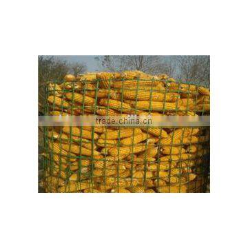 Galvanized welded wire mesh panel for agriculture