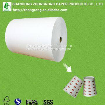 PE coated cup stock cardboard