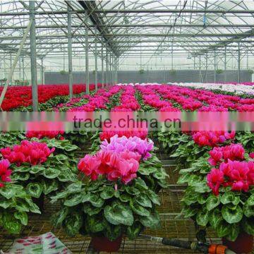 Large Multi-span Fiberglass Commercial Greenhouse,garden Greenhouse,flower Greenhouses photo-4
