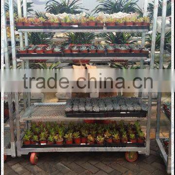 Flower Trolley China Mainland Hand Cart, Garden Tools photo-3