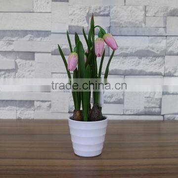 Table Artificial Mini Saussurea Flower Bonsai for Home and Commercial Decoration photo-6