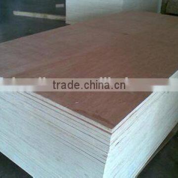 China Shandong Linyi Factory Best Flexible Bent Plywood for Chair Seat photo-5