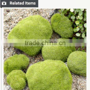 Buy Direct From China Manufacturer Roof Gardening Moss Stone photo-4