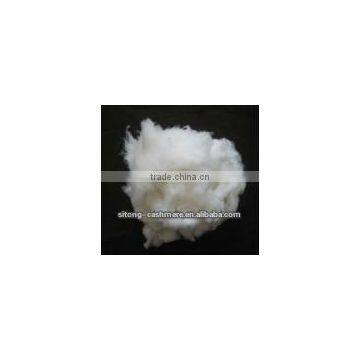 Pure White Dehaired Cashmere Fibre