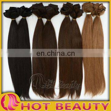 European/Indian/Brazilian Clip In Hair Extensions