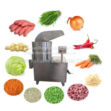 The Vegetable Machine India Veg Chopper Machine